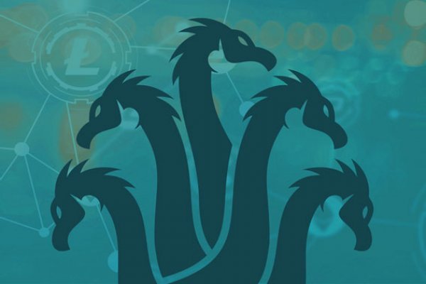 Kraken рабочий