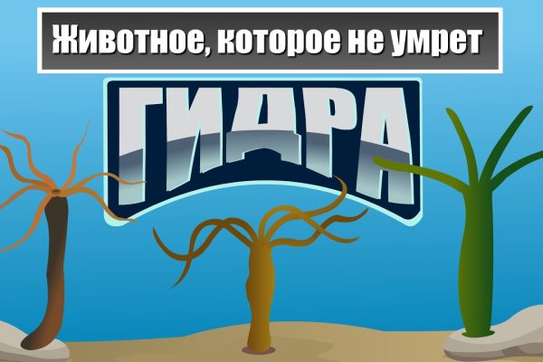 Кракен это современный даркнет маркет плейс