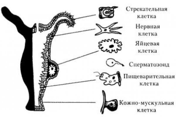 Кракен ссылка kr2link co