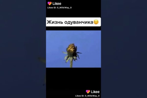 Kraken даркнет что это